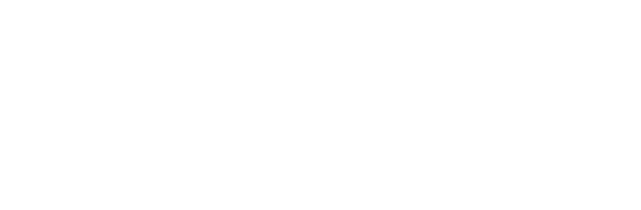 Adidas : 